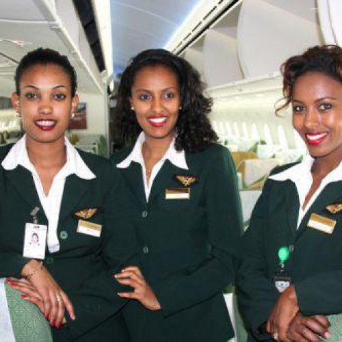 Hôtesse de l'air/Steward