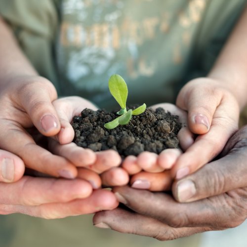 Ingénieur/e environnement